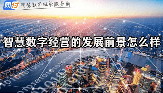 澳门2035年展望，新时代的智慧城市与管家婆的未来角色