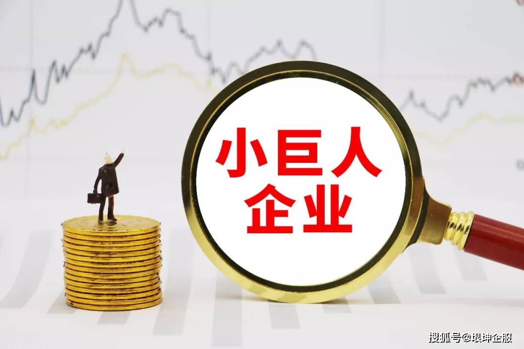 管家婆三期出一期的最新版，重塑企业管理的未来