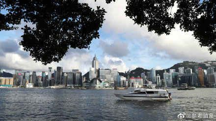 探索香港历史，近15期记录的深度剖析