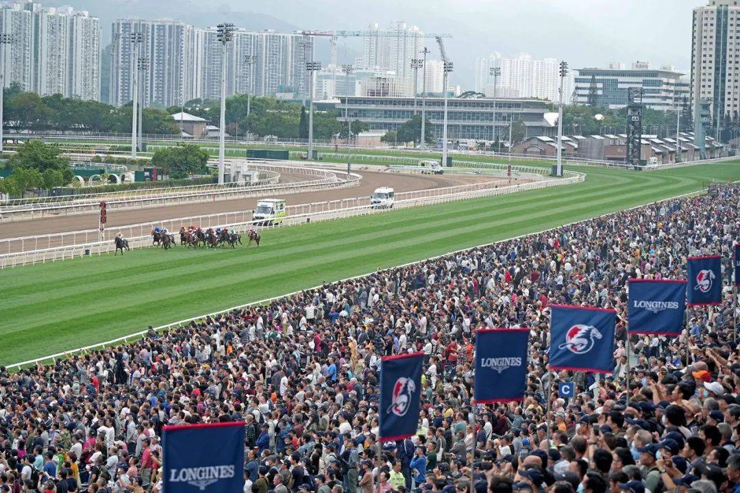 探索香港马会资料，历史、运营与影响