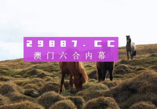 澳门新开奖记录，三五图库的全面解析与深度解读