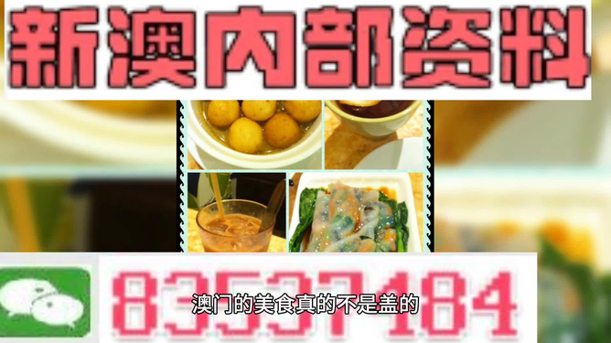 澳门新风貌，探索最新最快的资讯与动态