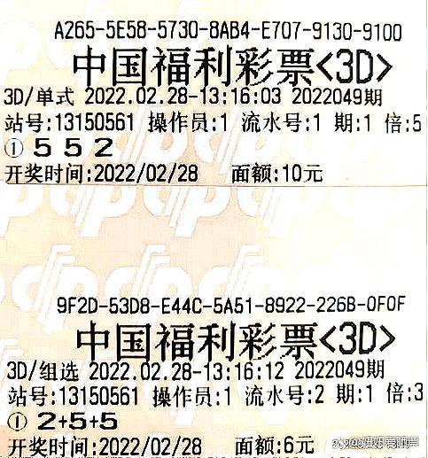 2048年新澳开奖结果查询表，揭秘未来彩票的数字游戏