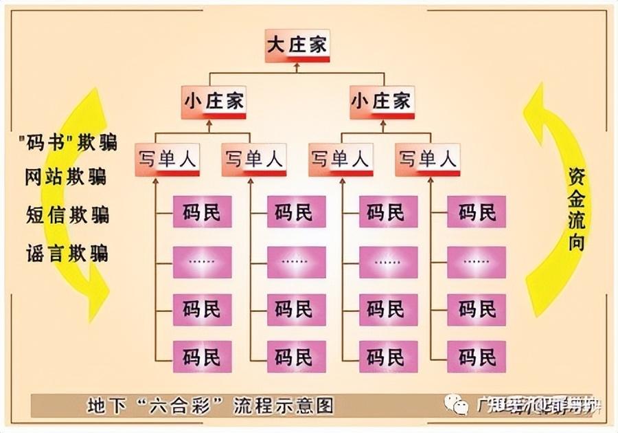今晚六给彩，揭秘开奖号码背后的故事与乐趣