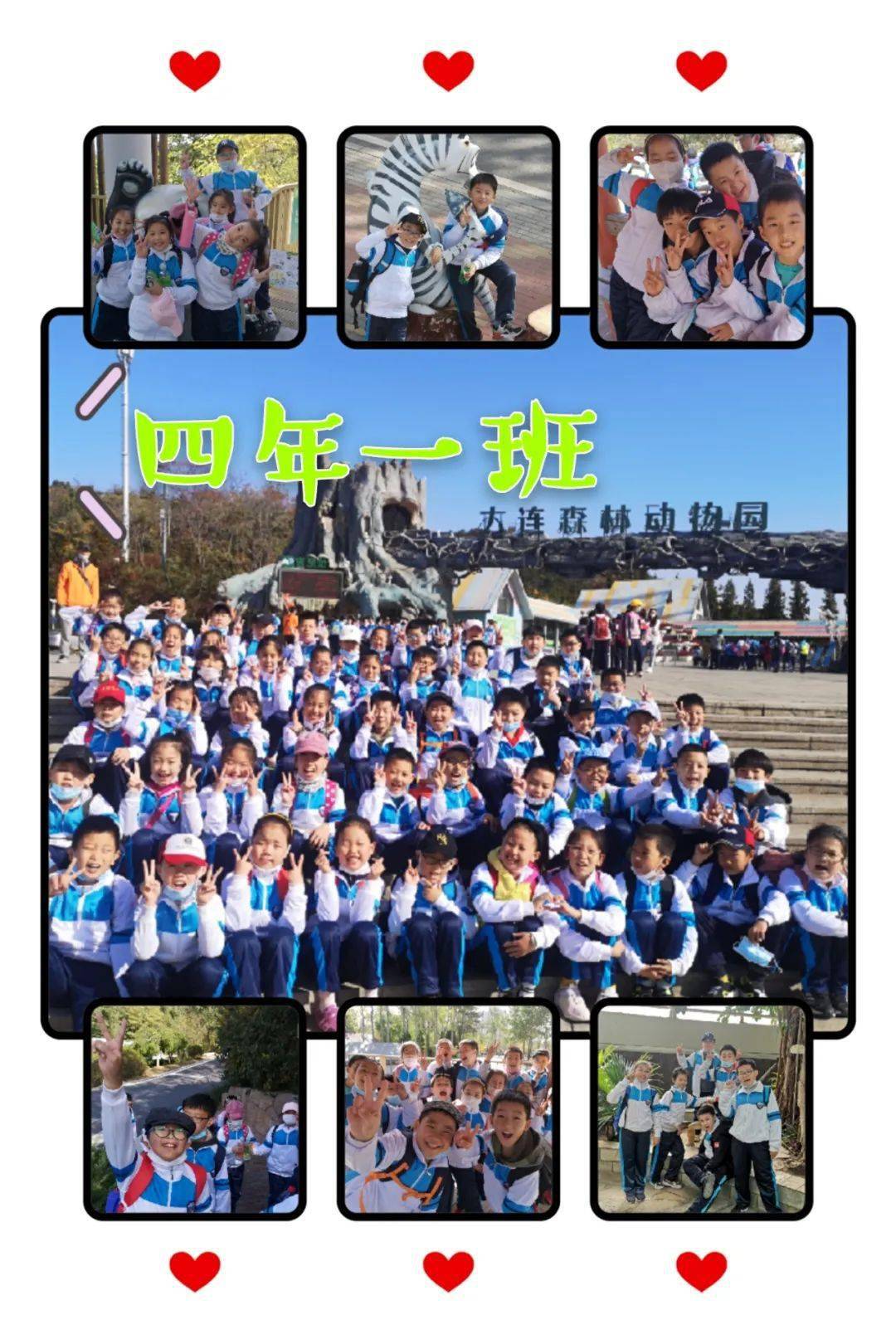 揭秘澳门一肖不中特码必出，理性看待彩票与风险