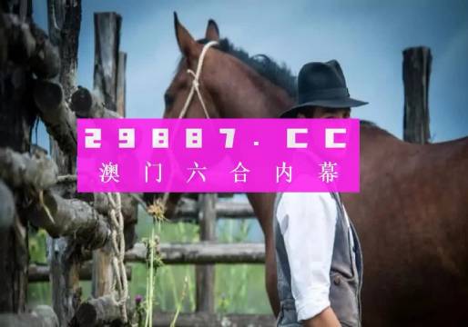 203年澳门全年资料免费大全，解锁年度盛事与精彩瞬间