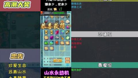 揭秘管家婆2019开奖结果，一场数字游戏与概率的较量！
