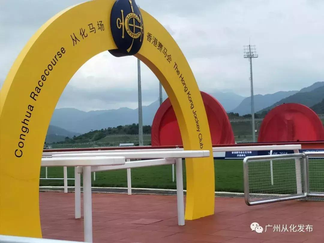 2019香港马会资料大全免费，探索赛马的魅力与文化深度