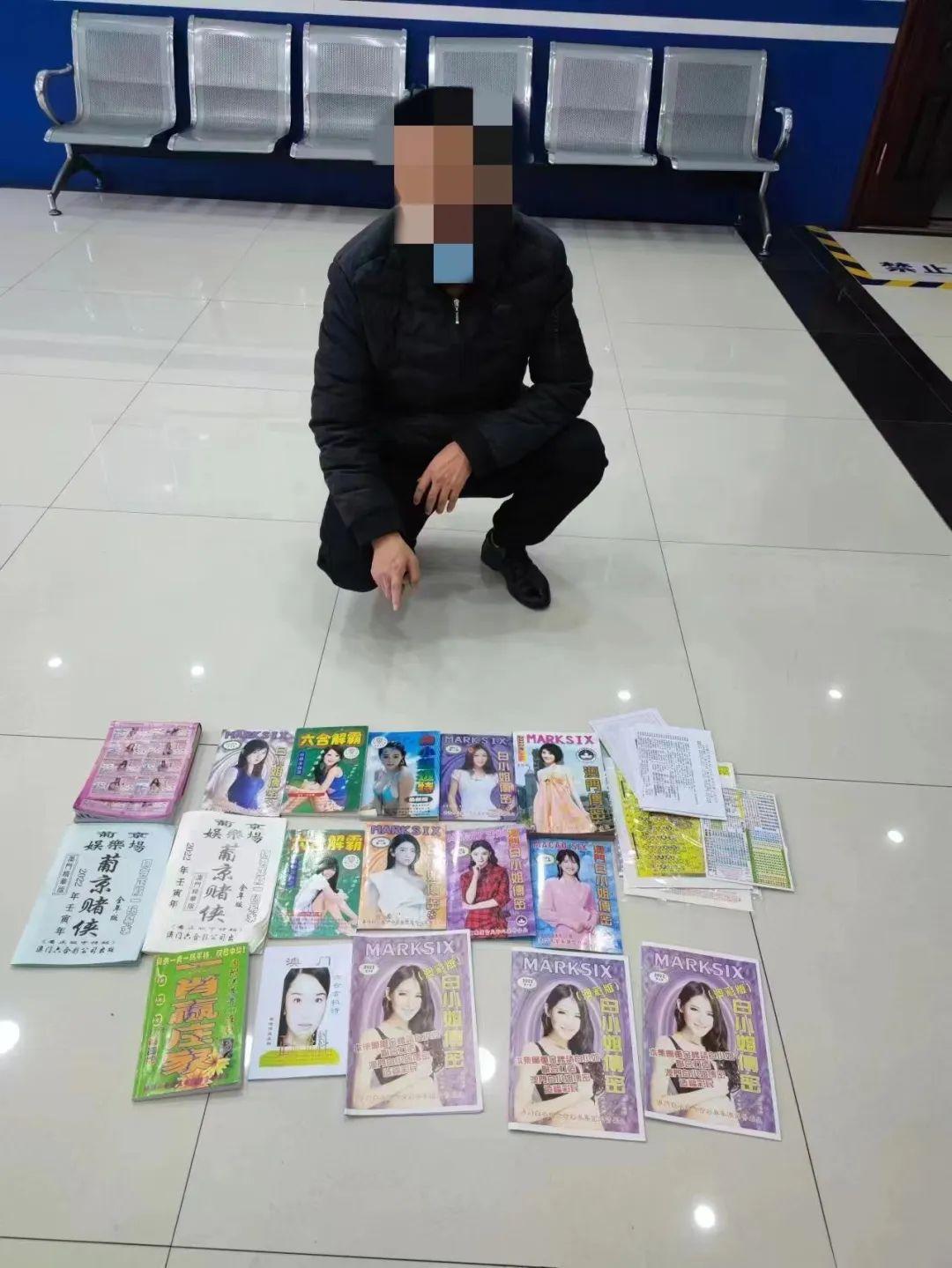 揭秘六和采开奖结果，数字背后的奥秘与乐趣