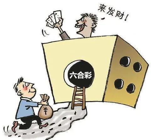 揭秘香港宝典开奖结果，一场数字与概率的较量