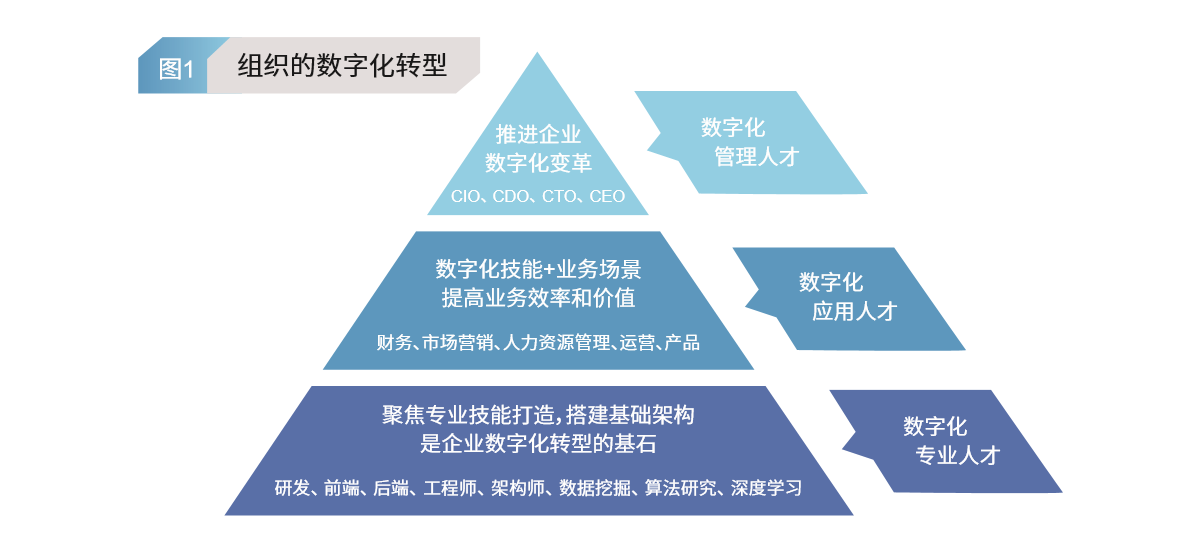 2035年，澳门特马彩票的数字化革新与未来展望