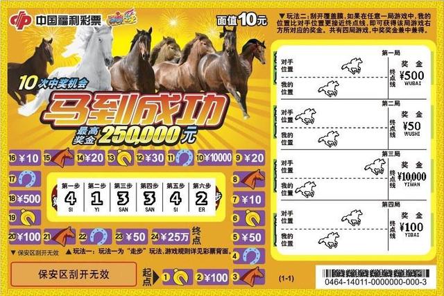 今日彩市指南，智慧购马，乐在其中