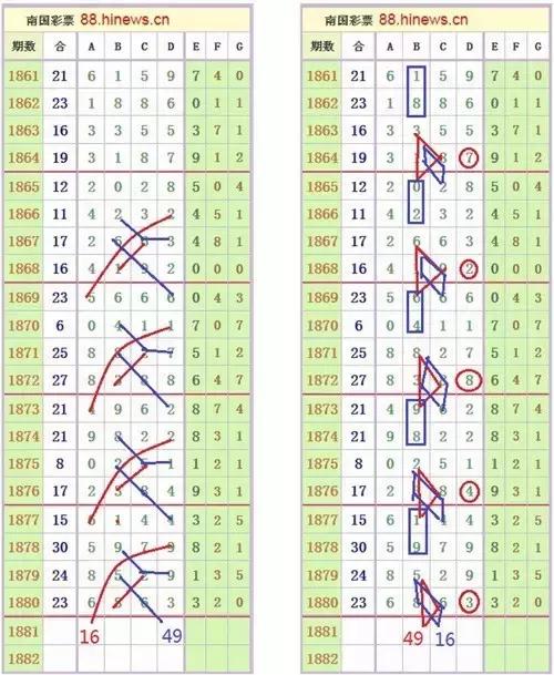 探索南海七星彩论坛，数字与智慧的交汇之地