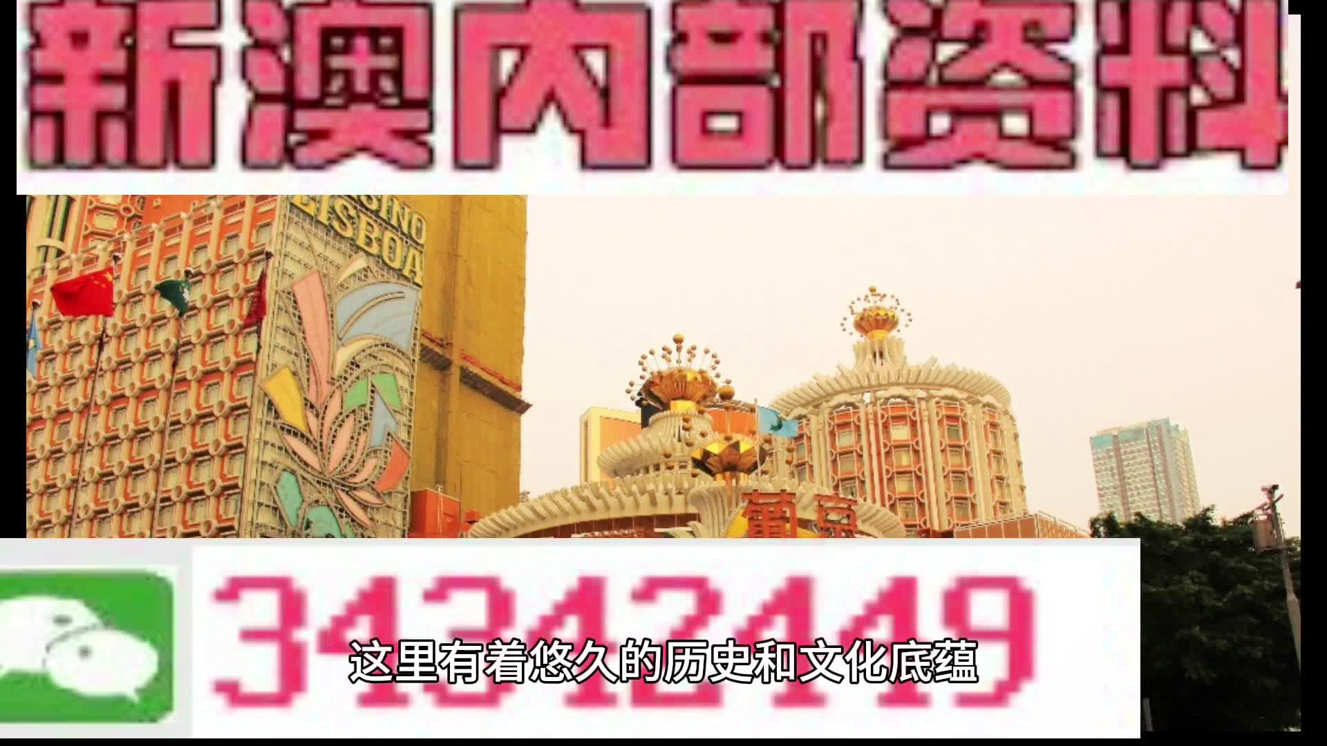 探索新澳门资料大全204正版资讯的全面指南