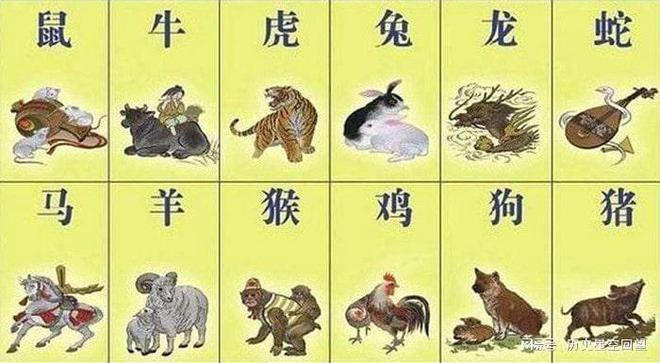 探索2035年香港正版生肖号码表图，传统文化的现代演绎