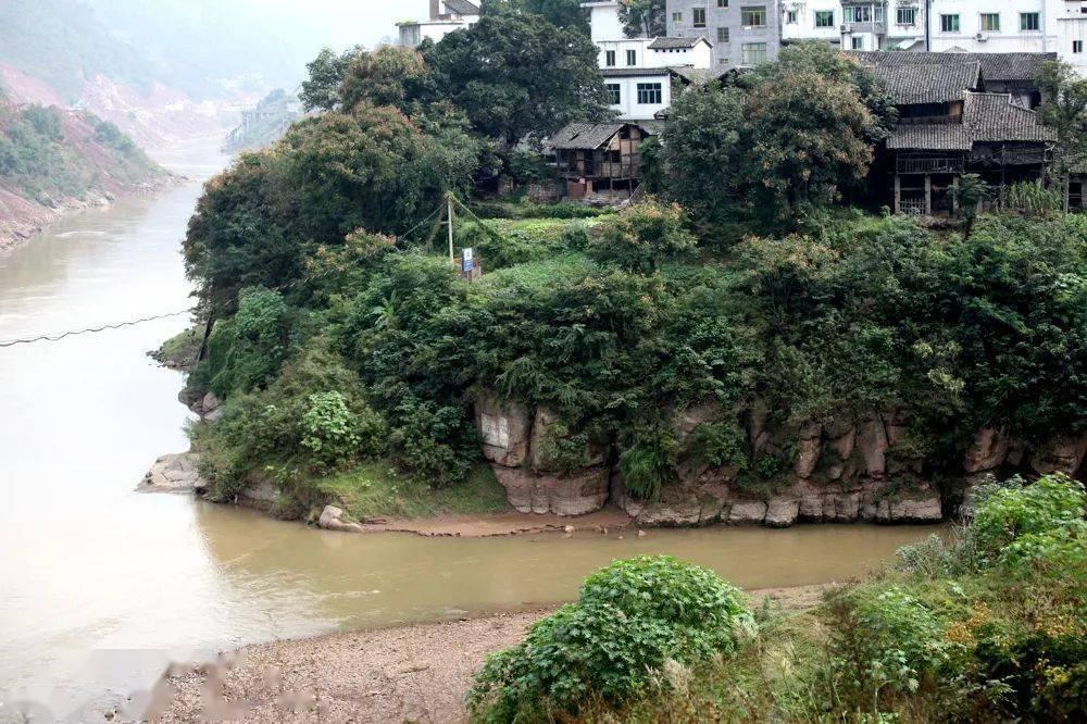 九龙图库助手，数字时代的图像管理新利器