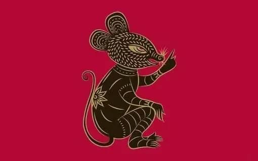 今晚9点30，揭秘生肖开奖的神秘面纱