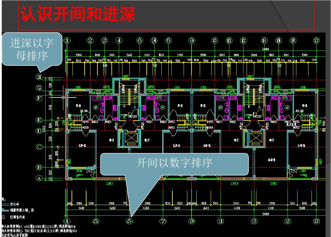 彩图世界，探索大全图纸的无限创意