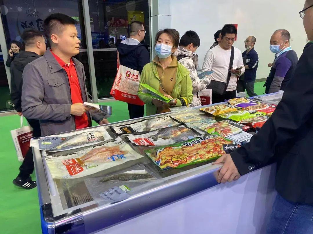2023年回顾，免费资源大放送——全年资料下载指南