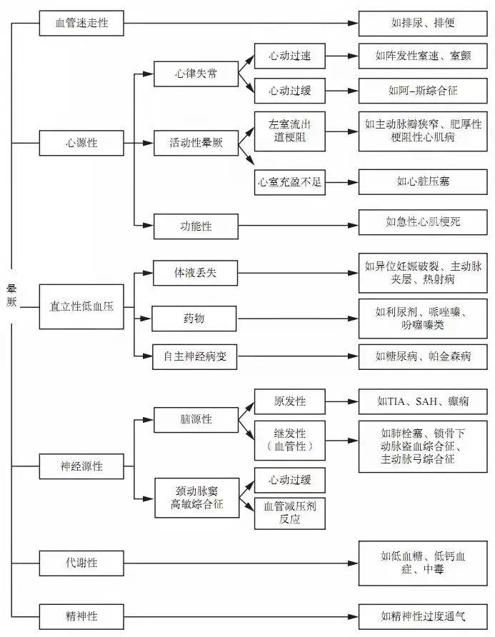 揭秘王中之王的传奇，一肖、特一中背后的奥秘