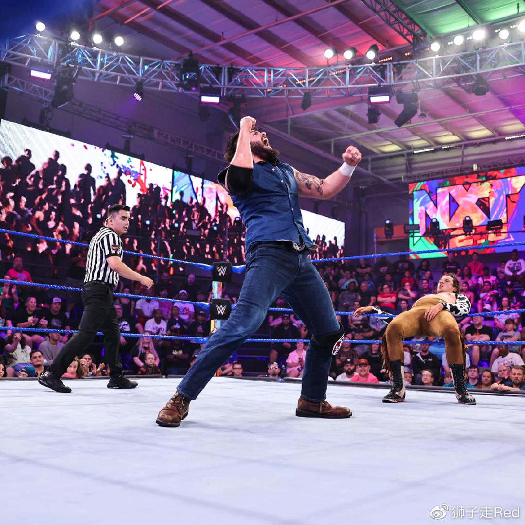 2014年WWE最新赛事，激情碰撞与英雄传奇的年度盛宴