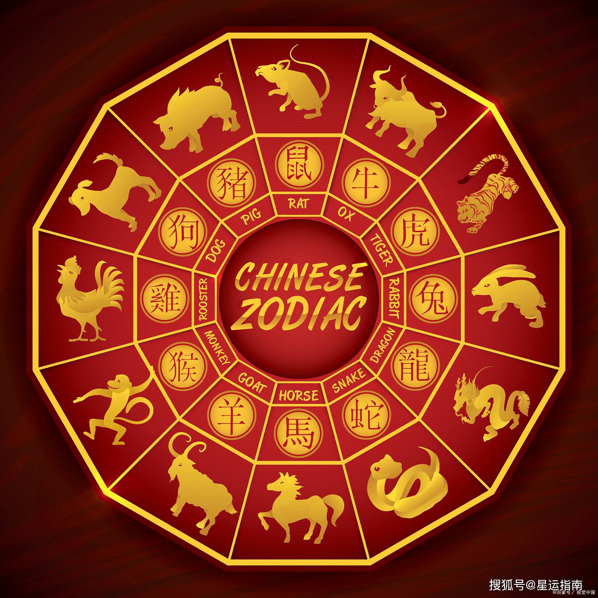 今晚9点30，揭秘生肖之谜