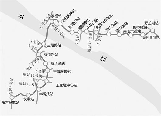 澳门内部三肖精准预测，期期的公开与信任的建立