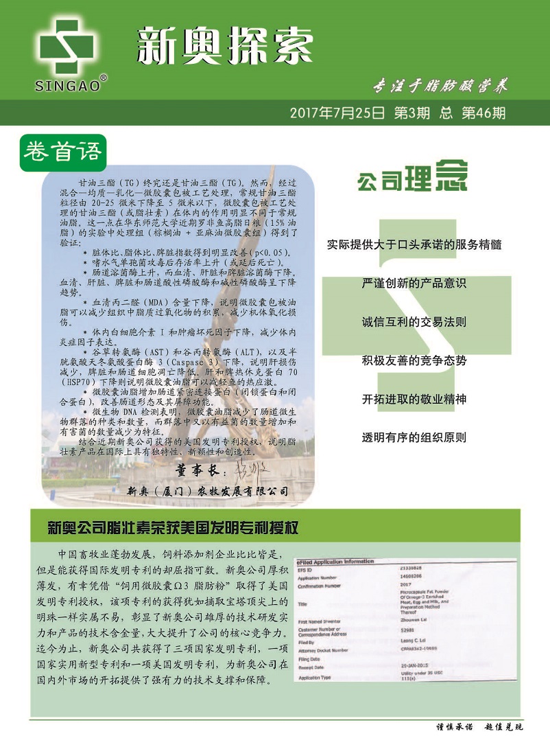 探索知识无界，新奥正版全年免费资料带来的学习革命