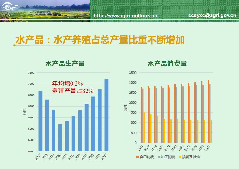 2035年，香港特马彩票的数字化革新与未来展望