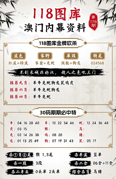 澳门三肖二码精准预测，揭秘数字背后的玄机