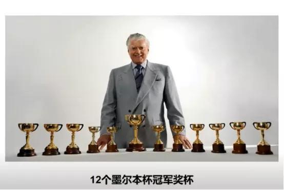 探索香港正版马会精选资料大全，揭秘赛马的智慧与策略