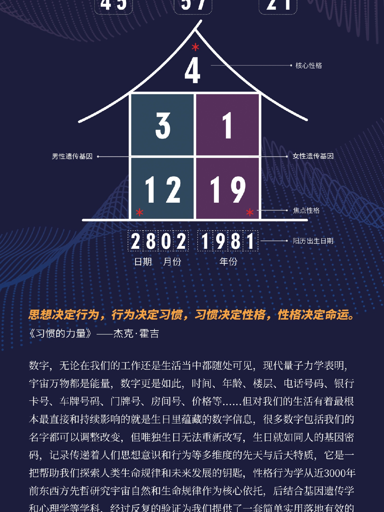 精准预测，揭秘一肖与数字的奇妙结合