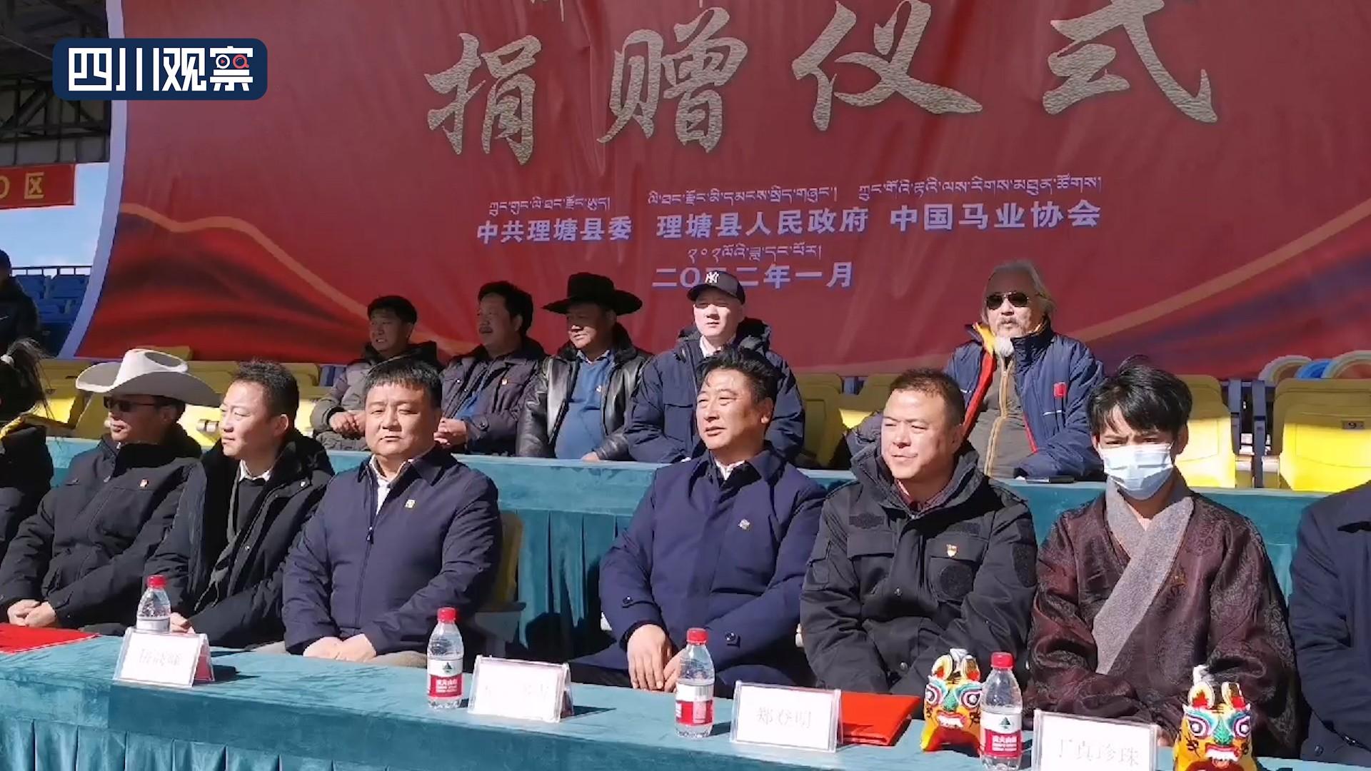 探索香港正版马会精选资料大全，揭秘赛马的智慧与魅力