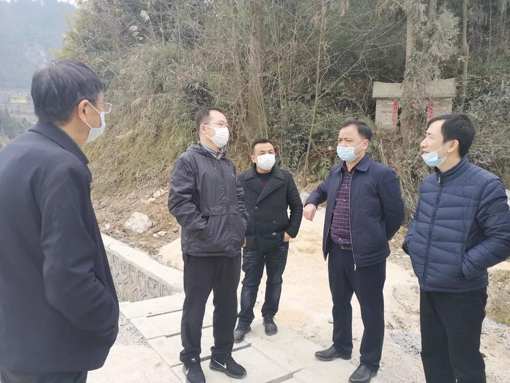 黄金网站APP，在线观看与下载的便捷之选
