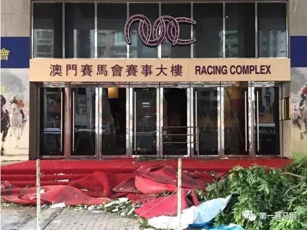 探索马会传真资料网站论坛，赛马的智慧与激情交汇之地