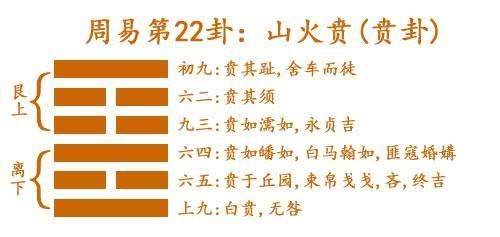 揭秘二四六玄机图，资料大全与深度解析