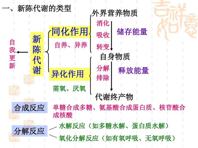 第二部分: