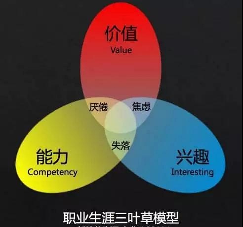 探索期四肖选一的奥秘，理性与直觉的天平