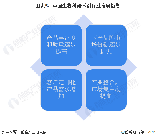 四肖期中准—精准预测与策略分析