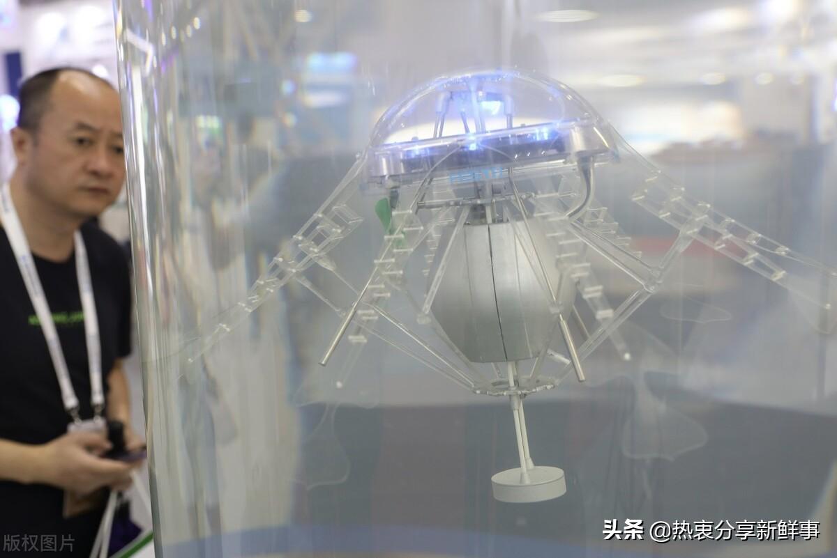 探索知识海洋，正版资料免费大全的无限可能