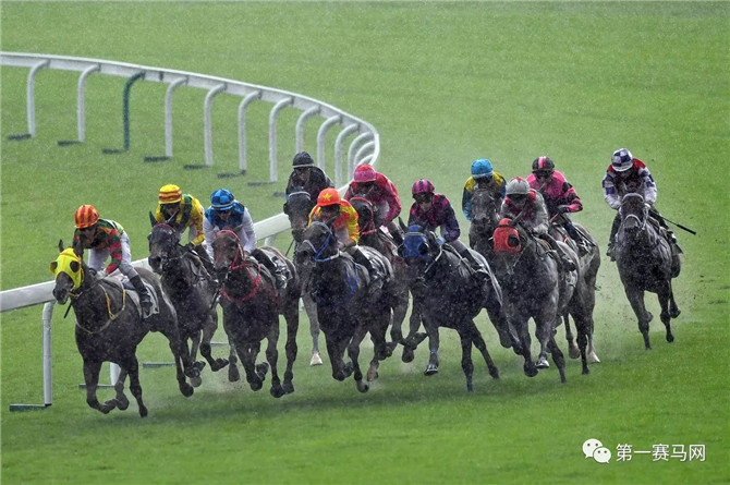 2019年香港马内部免费资料，揭秘赛马的背后与策略