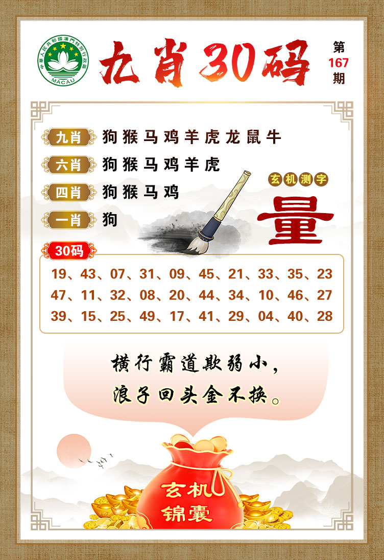 探索二肖3码的奥秘，揭秘数字背后的趣味与智慧