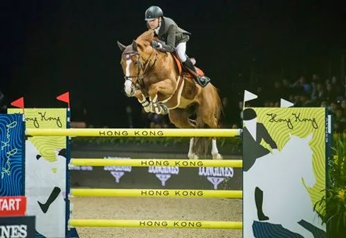 探索香港马会全年资料大全，历史、运营与影响