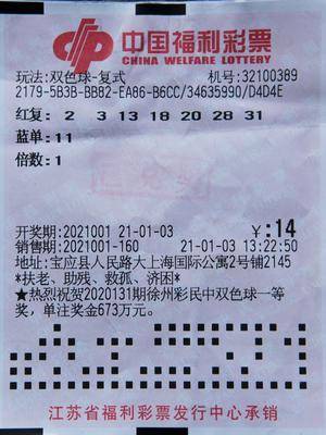 2O4澳门天天开好彩大全，揭秘彩票背后的智慧与策略