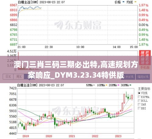 澳门三肖精准预测，揭秘王中王的神秘面纱