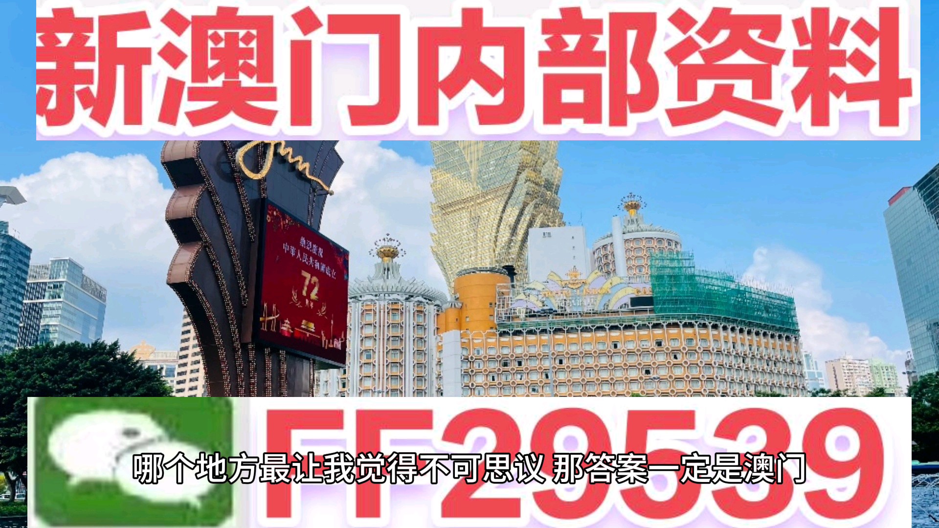 澳门彩市新气象，204年天天开好澳