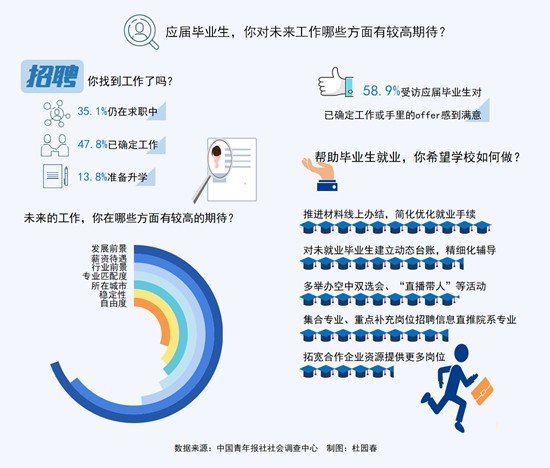 菠菜网，打造高效、安全的在线招聘与求职平台