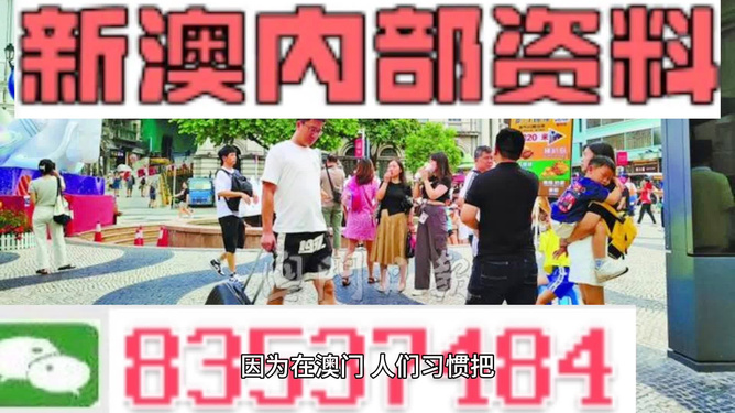204澳门正版精准资料，揭秘未来趋势与机遇