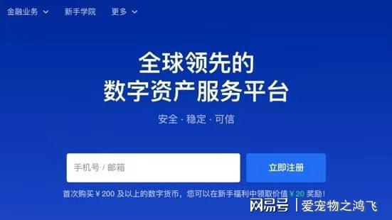 探索期四肖选一的奥秘，理性与直觉并行的投注策略