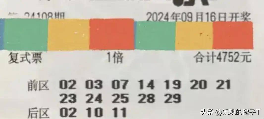 今晚新澳门必中一肖的真相，理性与现实的碰撞